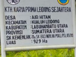 Beberapa Anggota KTH KPLS Halangi Hasil Pertanian Pendeta Kimhock Ambarita, Dampak Dari Memperjuangkan Haknya Sebagai Anggota