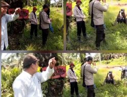 Ambarita: Pemerintah dan Aparat Hukum Jangan Takut Dengan Premanisme